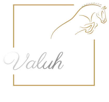 Valuh, knjigovodstvene usluge i poslovno savjetovanje